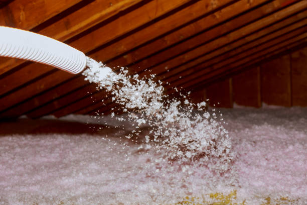 Best Best Insulation Companies  in Cleburne, TX