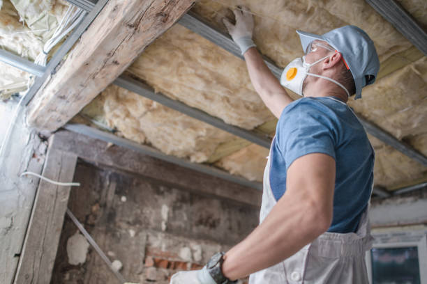 Best Blown-in Insulation  in Cleburne, TX