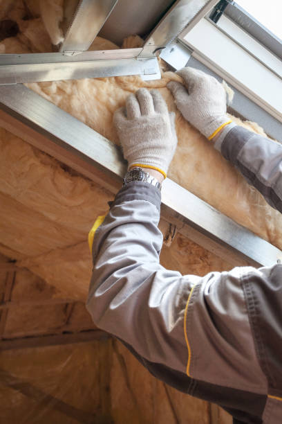 Best Wall Insulation Contractor  in Cleburne, TX