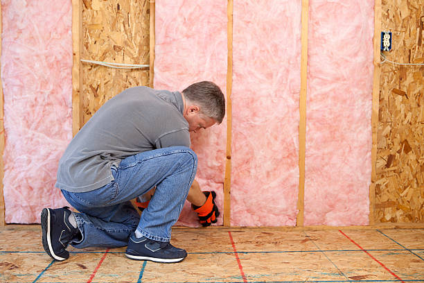 Best Local Insulation Services  in Cleburne, TX
